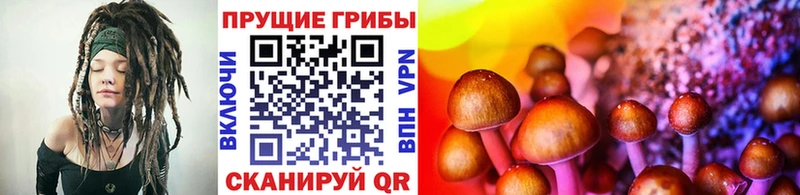 Псилоцибиновые грибы Psilocybine cubensis  Новый Оскол 